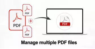Manage multiple PDF
