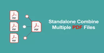 multiple PDF